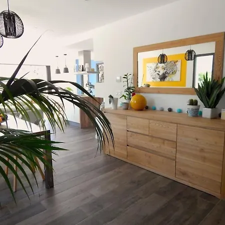 Villa Belle Contemporaine Climatisée Avec Piscine Teyran